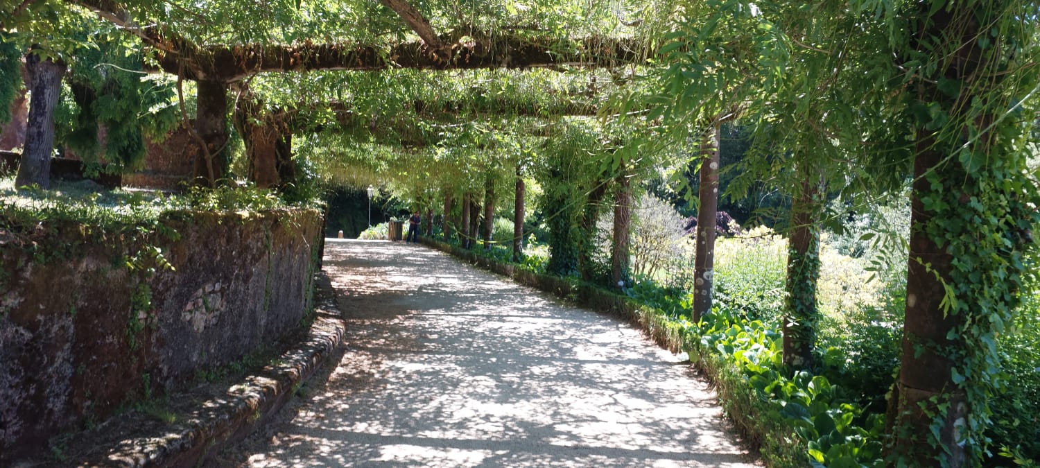 טיול לפורטוגל פורטו והצפון – יומן מסע יום 3: פטימה, תומאר, בוסקו וקואימברה 4 שביל מוצל ומוקף עצים בגני ארמון בוסאקו בפורטוגל – טיול לפורטוגל פורטו והצפון