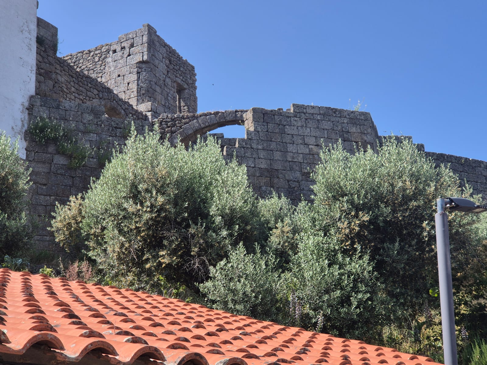 טיול לפורטוגל בעקבות היהדות – יומן מסע יום 4: קוימברה, טרנקוזו ובלמונטה 4 מבט על קטע משוחזר של חומת האבן העתיקה בבלמונטה, עם קשת אבן במרכזה, מוקפת בצמחייה ירוקה ועצי זית. ברקע נראים מגדלים מימי הביניים, תחת שמיים כחולים. בתחתית התמונה גג רעפים כתומים מקומי.